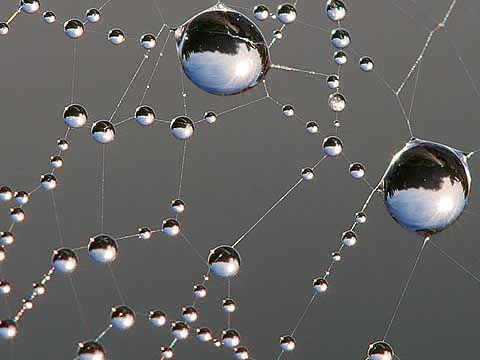 The complicated tangled wwweb!