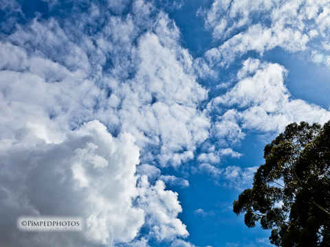 It’s cloudy here in Sydney, Australia :(